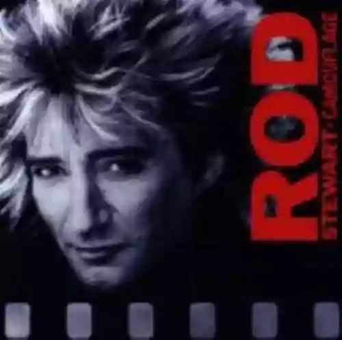 Cover Rod Stewart - Camouflage