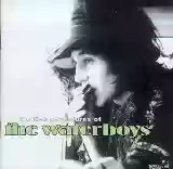 The Waterboys: The Live Adventures of the Waterboys