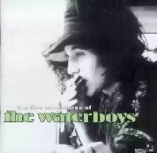 Cover di The Live Adventures of the Waterboys