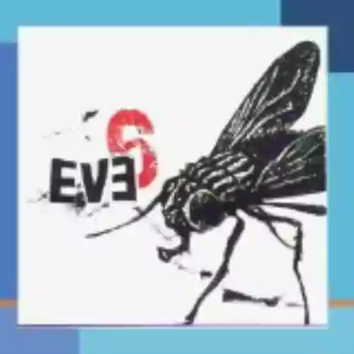 Cover di Eve 6