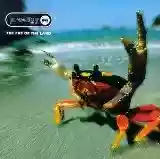 The Prodigy: The Fat Of The Land