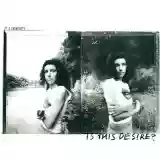 PJ Harvey: Is This Desire?