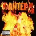 <b>Pantera</b> • Reinventing the Steel