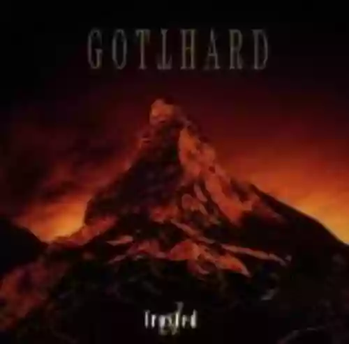 Cover di D-Frosted