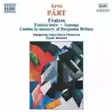 Arvo Pärt: Fratres (Hungarian State Opera Orchestra feat. conductor Tamás Benedek)