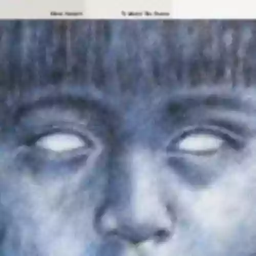 Cover Steve Hackett - To Watch the Storms