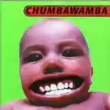 Chumbawamba: Tubthumper