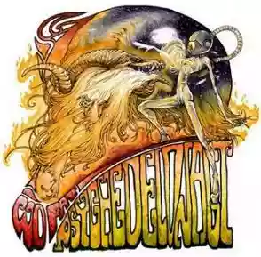 Cover di Psychedelonaut
