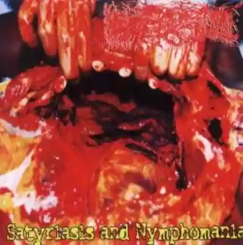 Cover di Satyriasis and Nymphomania