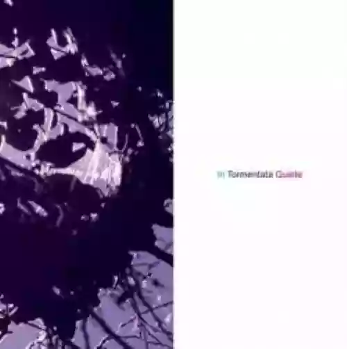Cover di In tormentata quiete