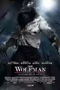 <b>Joe Johnston</b> • Wolfman