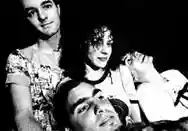 Immagine di Heavy Vegetable