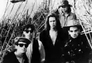 Image ofHothouse Flowers