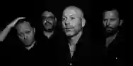 Immagine di I Love You but I've Chosen Darkness