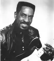 Immagine di Ike Turner