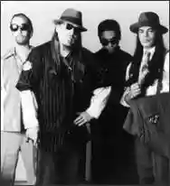Image ofInfectious Grooves