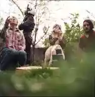 Immagine di Jackie-O Motherfucker