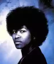 Image ofJoan Armatrading