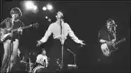 Immagine di Jonathan Richman & The Modern Lovers