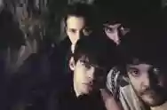 Immagine di Klaxons