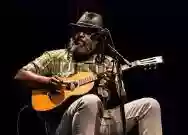 Immagine di Alvin Youngblood Hart