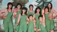 Immagine di Le mele verdi