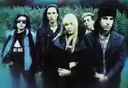 Immagine di Live Skull