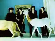 Image ofLiving Things