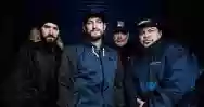 Immagine di Madball