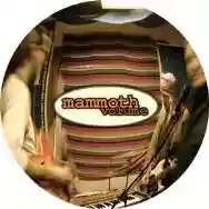 Immagine di Mammoth Volume