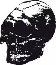 Image ofMan Is the Bastard