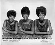 Immagine di Martha and The Vandellas