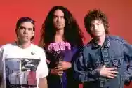 Immagine di Meat Puppets