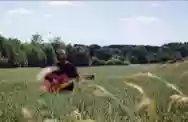 Immagine di Melodium