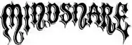 Immagine di Mindsnare