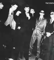 Immagine di Mink DeVille