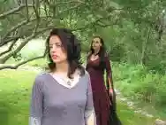 Immagine di Mirabilis