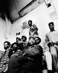 Immagine di Misty in Roots