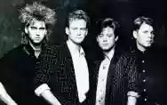 Image ofMr. Mister