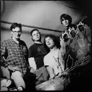 Image ofMudhoney
