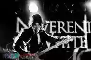 Image ofNeverending White Lights