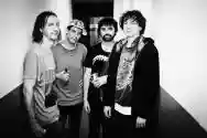 Immagine di Animal Collective