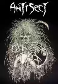 Immagine di Antisect