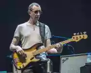 Image ofPino Palladino