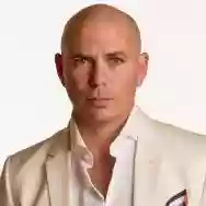 Immagine di Pitbull