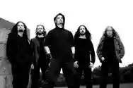Immagine di Primordial