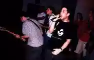 Immagine di Saetia