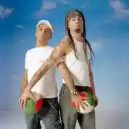 Immagine di Articolo 31