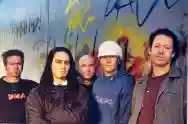 Immagine di Salmonella Dub