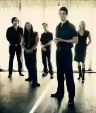 Immagine di Shearwater